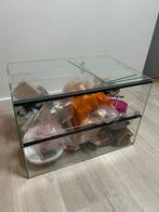 Terrarium voor kleine knaagdieren, Hamster, Januari, Meerdere dieren, Tam