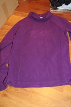 trui paars, Kinderen en Baby's, Kinderkleding | Maat 170, Ophalen of Verzenden, Gebruikt, Meisje, Trui of Vest