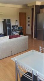 appartement te huur, Alfas del Pi, Costa Blanca, 1 slaapkamer, Appartement, Aan zee, Internet