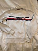 Sweater van Tommy Hilfiger, S, Wit, Tommy Hilfiger, Ophalen of Verzenden, Gedragen