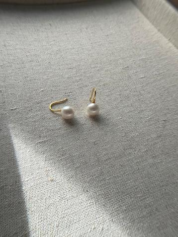 Pareloorbellen met S925 zilver beschikbaar voor biedingen