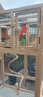 Houten voliere/kooi, Dieren en Toebehoren, Vogels | Hokken en Kooien, Ophalen, Hout, Vogelkooi