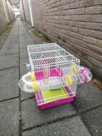 Hamsterkooi, Minder dan 60 cm, Kooi, Minder dan 75 cm, Ophalen of Verzenden