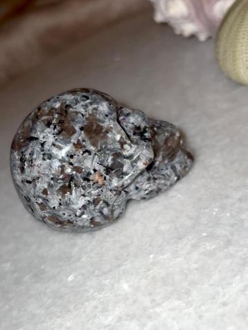 Yooperliet skull beschikbaar voor biedingen