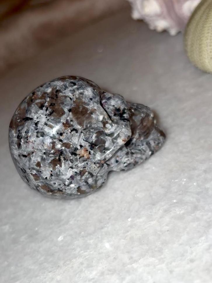 Yooperliet skull, Verzamelen, Mineralen en Fossielen, Ophalen of Verzenden