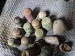 Friese vingerhoedjes lot handgeput etc bodemvondsten, Antiek en Kunst, Ophalen of Verzenden