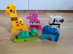 Duplo Dieren Set, Ophalen of Verzenden, Gebruikt, Losse stenen, Duplo