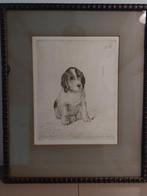 Ets Hond Puppy W. Pech - Ingelijst Wilhelm Pech, Ophalen of Verzenden