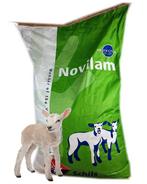 Lammetjes melk kunstmelk Novilam lammeren geiten schapen, Meerdere dieren, Schaap