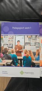 Pedagogisch werk 1 en pedagogisch werk 2 Van Angerenstein