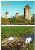 3 Molen in de Vendee met 2 broedende zwamen 64, Verzamelen, Ansichtkaarten | Buitenland, Frankrijk, Ongelopen, Ophalen of Verzenden