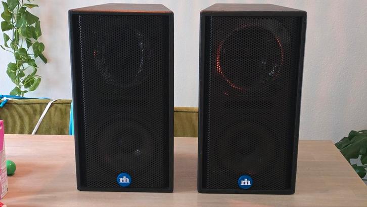 Renkus Heinz PNX81/9, Audio, Tv en Foto, Luidsprekers, Zo goed als nieuw, Front, Rear of Stereo speakers, 120 watt of meer, Overige merken