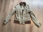 Grijs leren jasje van EDC, maat S, Kleding | Dames, Jassen | Zomer, Ophalen of Verzenden, Gedragen, Maat 36 (S), Grijs
