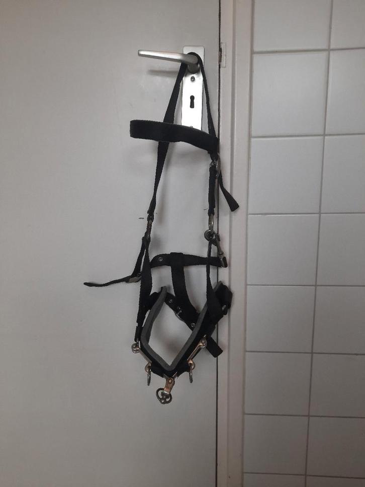 Te koop: nette kaptoom, Dieren en Toebehoren, Paarden en Pony's | Hoofdstellen en Tuigage, Zo goed als nieuw, Overige soorten