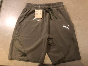 Puma short drycell xs 