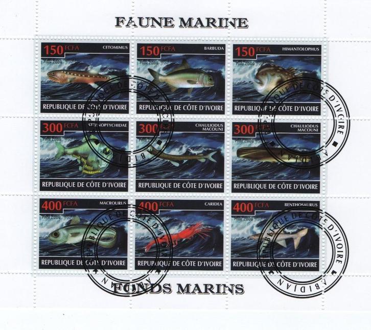 Fauna Marine - Cote D'Ivoire 2009 - Gestempeld used II, Postzegels en Munten, Postzegels | Thematische zegels, Gestempeld, Overige thema's