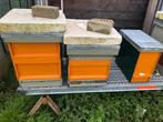 3 bijenkasten met bijen en een honing slinger, Dieren en Toebehoren, Insecten en Spinnen, Bijen