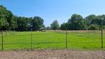 Pensionstalling beschikbaar op Lommstead, Dieren en Toebehoren, Stalling en Weidegang, Weidegang, 1 paard of pony