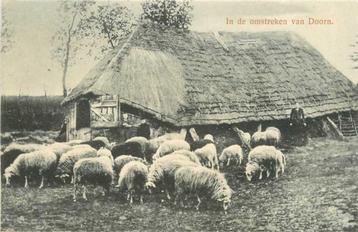 (380-641-003) Doorn beschikbaar voor biedingen