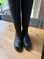 Mountain horse rijlaarzen, Dieren en Toebehoren, Paardrijkleding, Ophalen, Zo goed als nieuw, Schoeisel