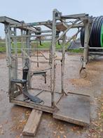 Klauwbekapbox, Dieren en Toebehoren, Runderen, Mannelijk