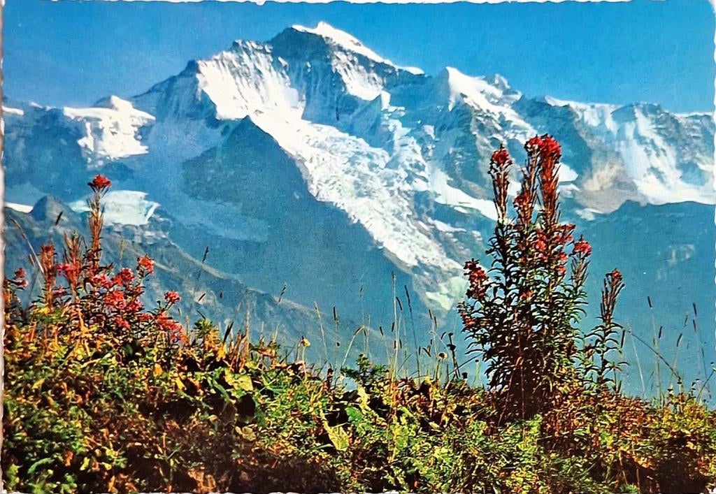Jungfrau Zwitserland 1974, Ophalen of Verzenden, 1960 tot 1980, Gelopen, Overig Europa
