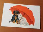 Teckel hond en poes onder rode paraplu, Verzamelen, Gelopen, Ophalen of Verzenden