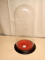 Antieke Glazen Stolp - 21,5 x 45 cm, Ophalen