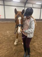 Verzorgpony gezocht!, Ophalen of Verzenden, Zo goed als nieuw