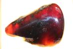 Amber (barnsteen), Ophalen of Verzenden, Mineraal