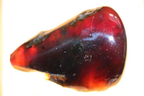 Amber (barnsteen), Verzamelen, Mineralen en Fossielen, Mineraal, Ophalen of Verzenden