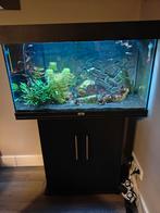 Juwel aquarium rio led 125, Dieren en Toebehoren, Ophalen of Verzenden, Zo goed als nieuw, Gevuld zoetwateraquarium