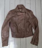 Mango lamslederen jasje bruin, Mango, Bruin, Ophalen of Verzenden, Zo goed als nieuw