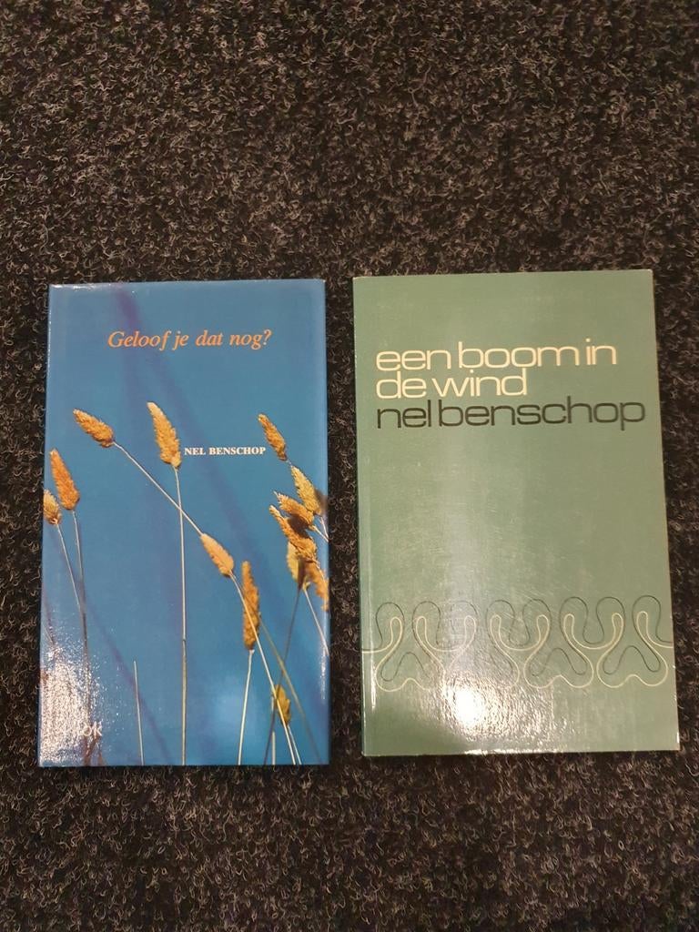 Nel Benschop - 2 Gedichtenbundels, Boeken, Gedichten en Poëzie, Gelezen, Eén auteur, Ophalen of Verzenden
