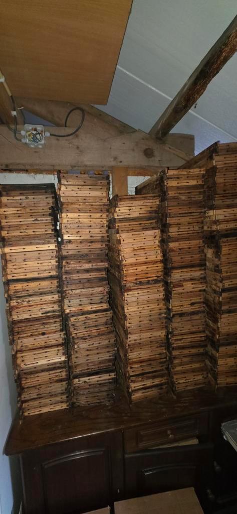 Simplex broedkamer raampjes, Dieren en Toebehoren, Insecten en Spinnen