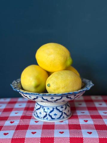 Blauw witte presenteer schaal op voet beschikbaar voor biedingen