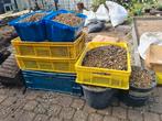 GRATIS - paar kratten /zakken met grind - kleur beige / geel, Tuin en Terras, Grind, Keien en Split, Ophalen, Gebruikt, Overige materialen
