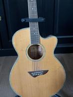 Jay Turser Age 7 akoestische gitaar met standaard en opbergh, Ophalen of Verzenden, Zo goed als nieuw, Klassieke of Spaanse gitaar