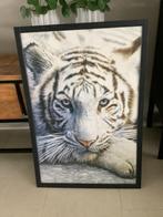 Mooi groot schilderij poster in lijst witte tijger 96 cm!, Ophalen, Zo goed als nieuw, Foto of Poster, 75 cm of meer