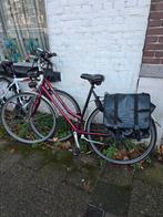 Kyoso dames sportfiets met shimano 7 versnellingen, Ophalen of Verzenden, Overige merken, Versnellingen