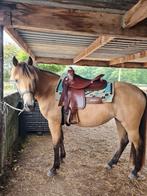 2x Deuber flex fit vario, en Ghost Maremma, Dieren en Toebehoren, Paarden en Pony's | Zadels, Ophalen of Verzenden, Zo goed als nieuw