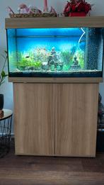 Verkoop mijn aqurium, Ophalen, Zo goed als nieuw