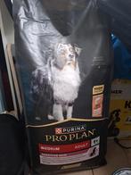 Tekoop Hondenvoer purina proplan, Dieren en Toebehoren, Ophalen, Hond