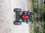 Quad shineray 250cc schakel, Fietsen en Brommers, Minibikes, Midibikes en Pitbikes, Ophalen of Verzenden, Gebruikt, Overige typen