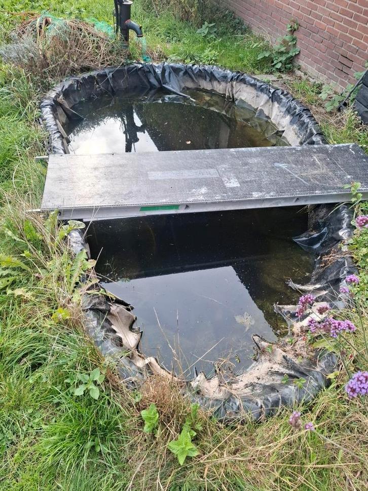 Gratis vijver af te halen - 4x2,5m moet voor morgen 10 u, Tuin en Terras, Vijvers, Gebruikt, Ophalen