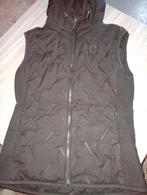 Zo goed als nieuw Samshield bodywarmer maat s, Dressuur, Dames, Ophalen of Verzenden, Zo goed als nieuw