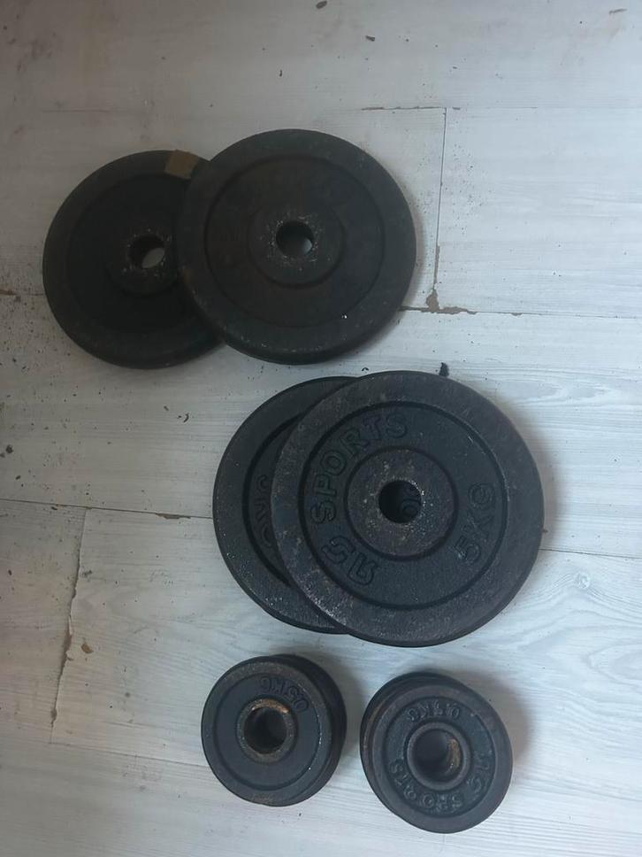 Gietijzeren Halterschijven Set, Sport en Fitness, Fitnessmaterialen, Gebruikt, Halterschijven, Armen, Ophalen