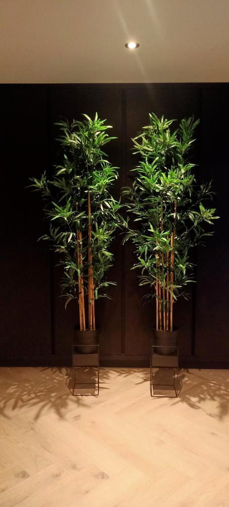 2x prachtige Bamboe met verhoging - Als nieuw!, Huis en Inrichting, Kamerplanten, Ophalen