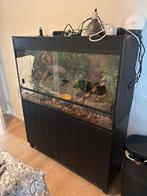 Terrarium L:120xD:50xH:70 met kast en toebehorende, Dieren en Toebehoren, Reptielen en Amfibieën | Toebehoren, Ophalen, Gebruikt