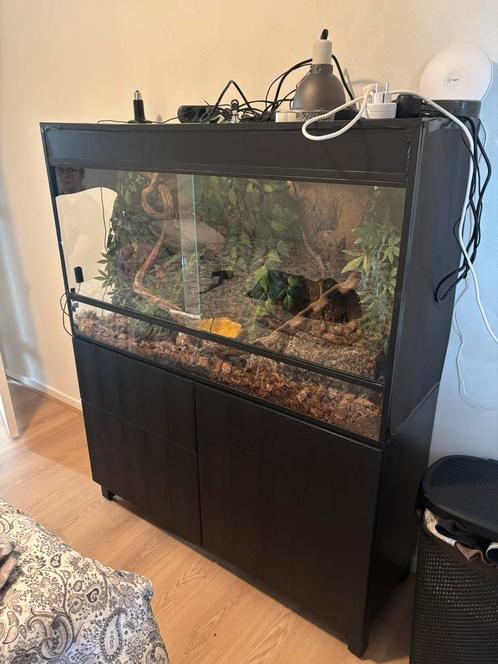 Terrarium L:120xD:50xH:70 met kast en toebehorende, Dieren en Toebehoren, Reptielen en Amfibieën | Toebehoren, Gebruikt, Terrarium of Paludarium